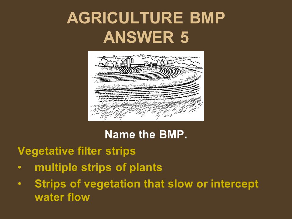 AGRICULTURE BMP ANSWER 5 Name the BMP.