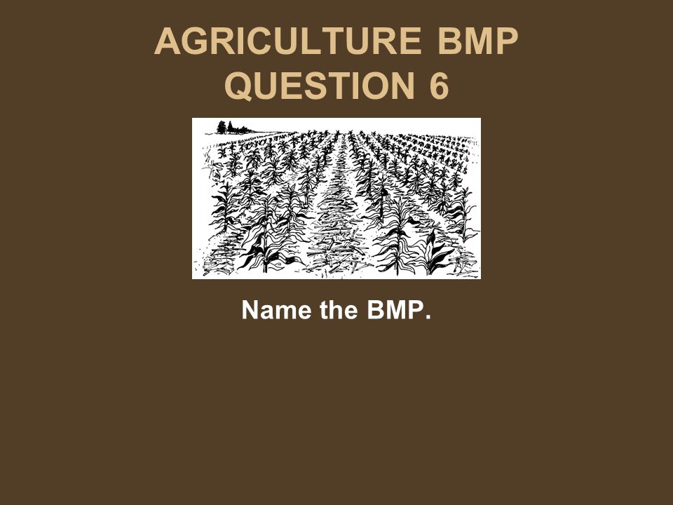 AGRICULTURE BMP QUESTION 6 Name the BMP.