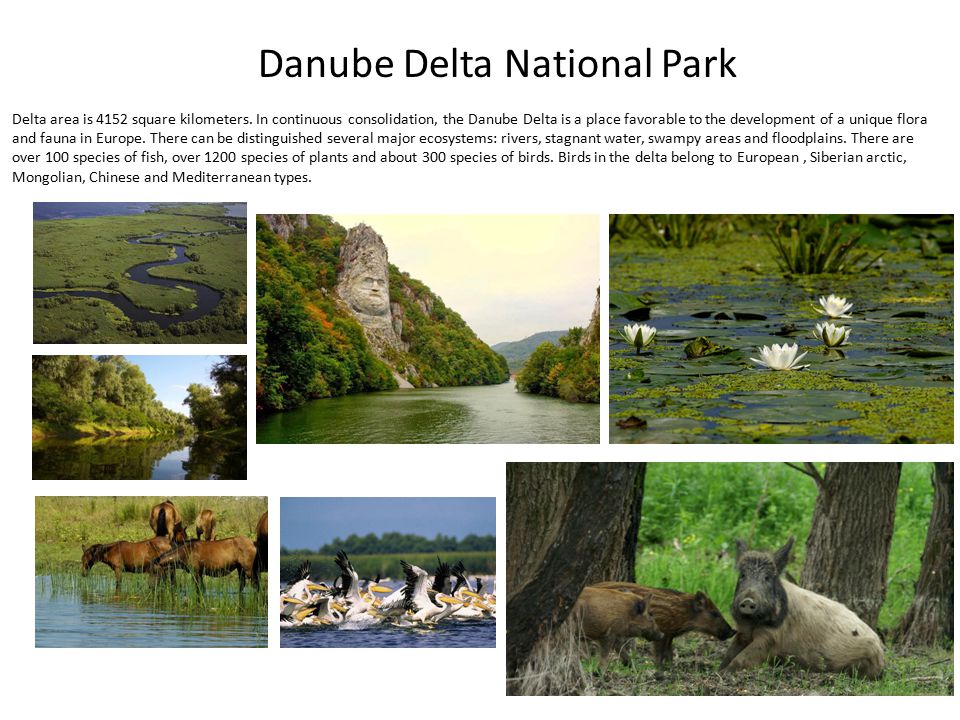 Danube Delta National Park Delta area is 4152 square kilometers.