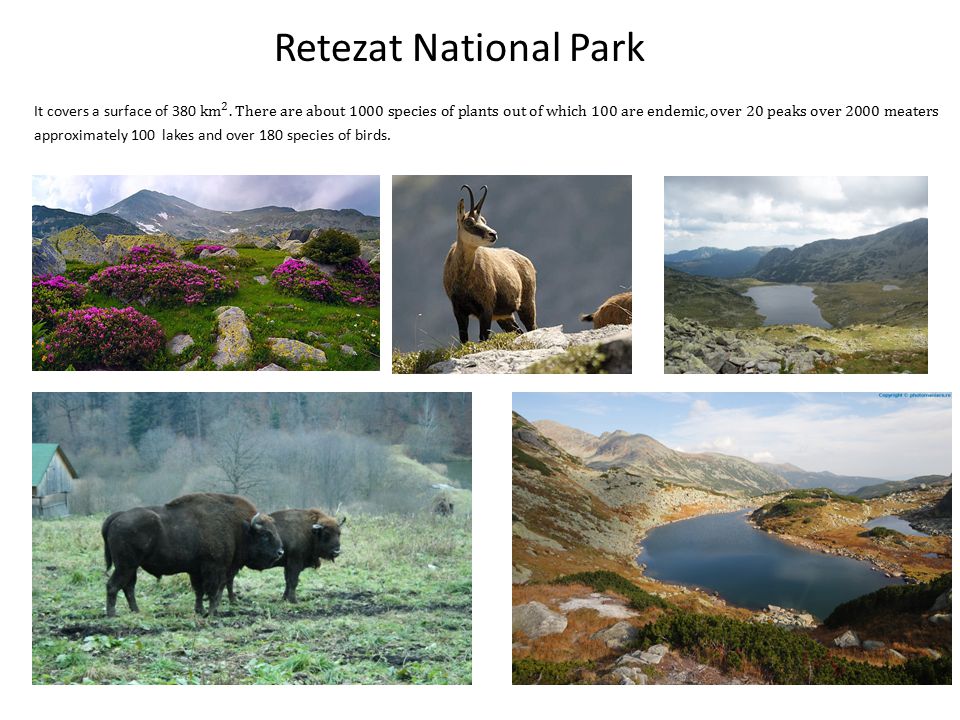 Retezat National Park approximately 100 lakes and over 180 species of birds.