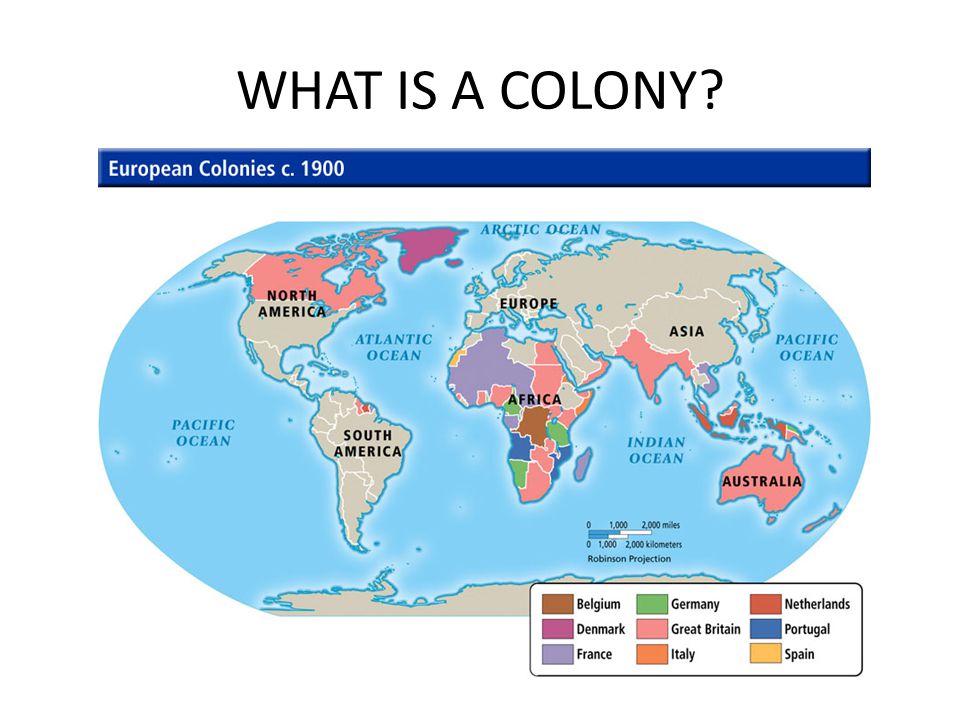 what is a colony