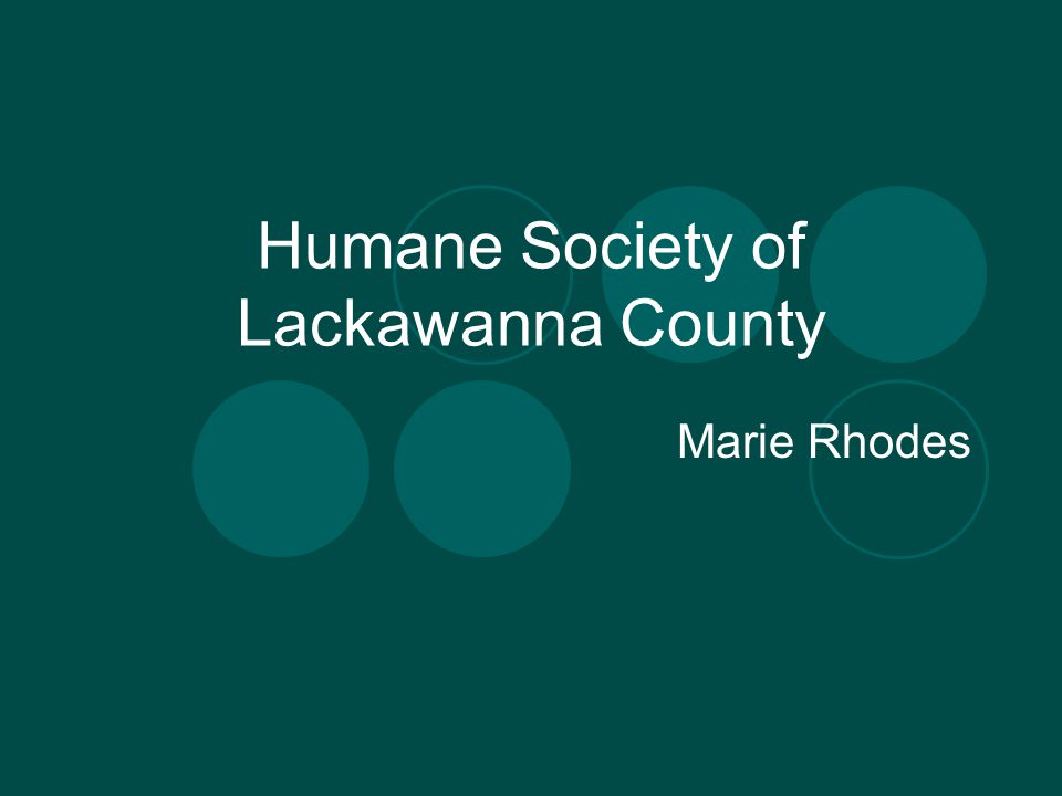 Humane Society of Lackawanna County Marie Rhodes