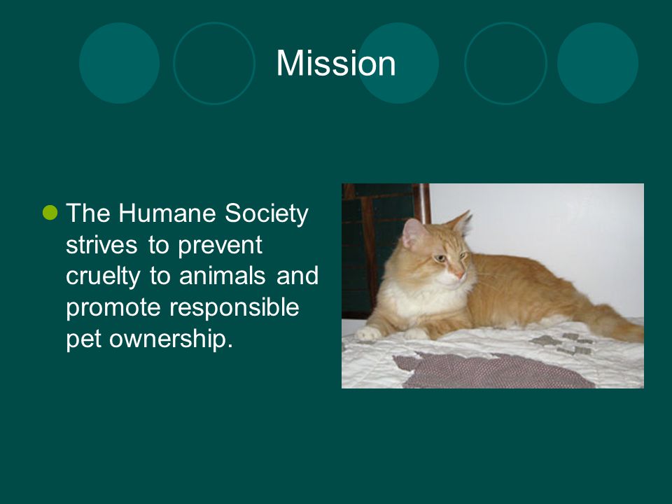 Mission The Humane Society strives to prevent cruelty to animals and promote responsible pet ownership.