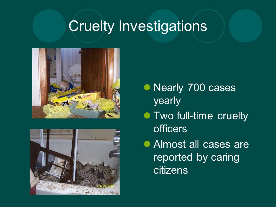Cruelty Investigations Nearly 700 cases yearly Two full-time cruelty officers Almost all cases are reported by caring citizens