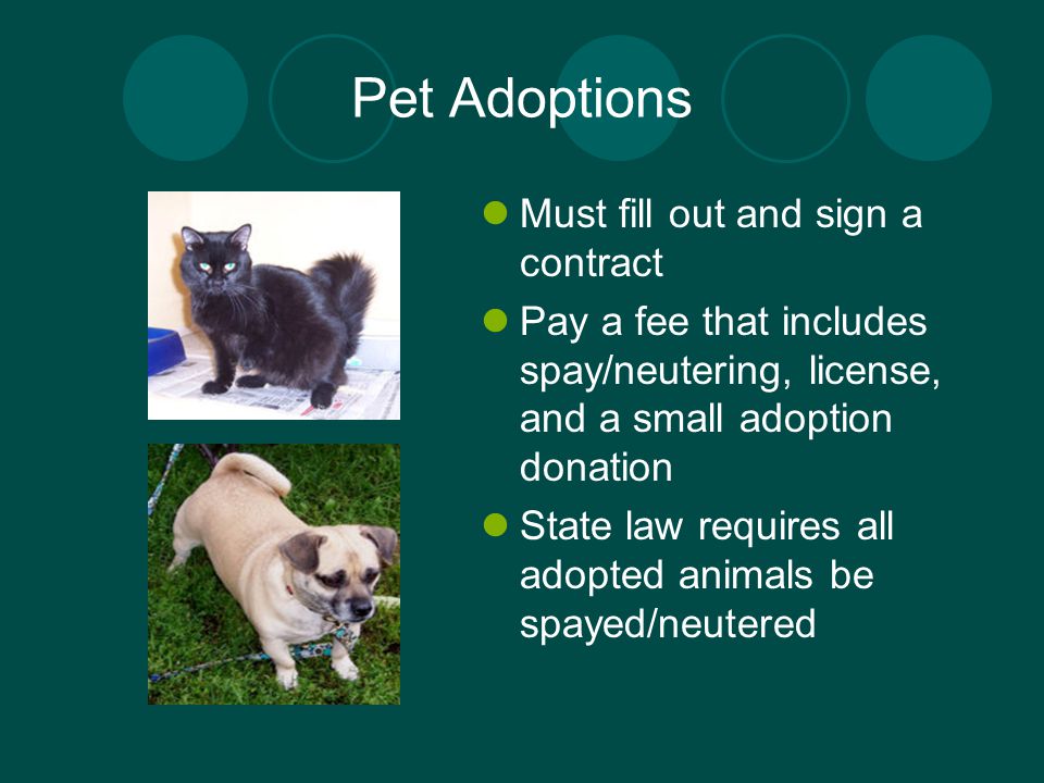 Pet Adoptions Must fill out and sign a contract Pay a fee that includes spay/neutering, license, and a small adoption donation State law requires all adopted animals be spayed/neutered