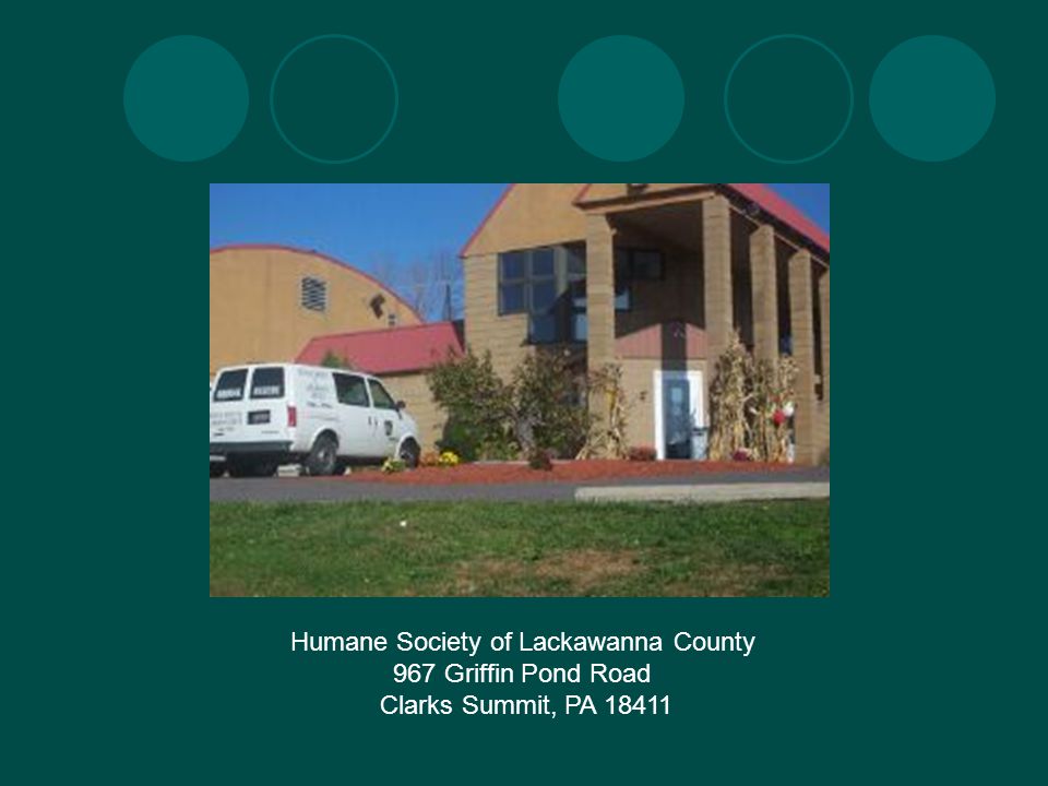Humane Society of Lackawanna County 967 Griffin Pond Road Clarks Summit, PA 18411