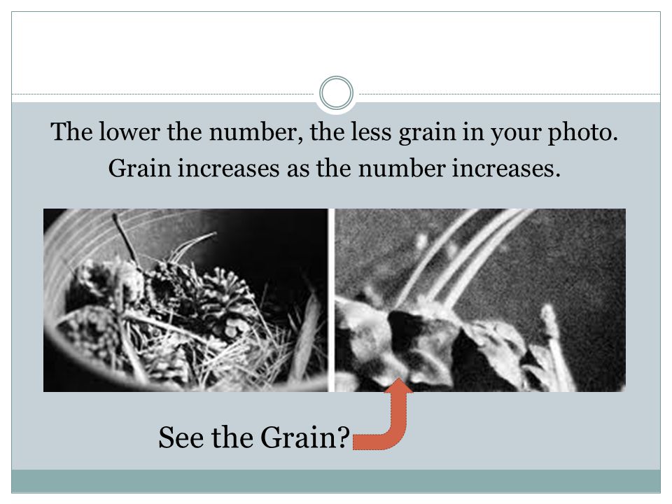 The lower the number, the less grain in your photo.