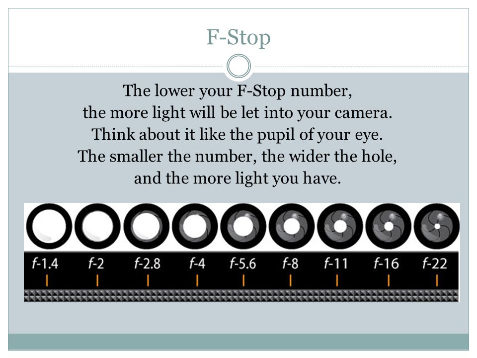 F-Stop The lower your F-Stop number, the more light will be let into your camera.