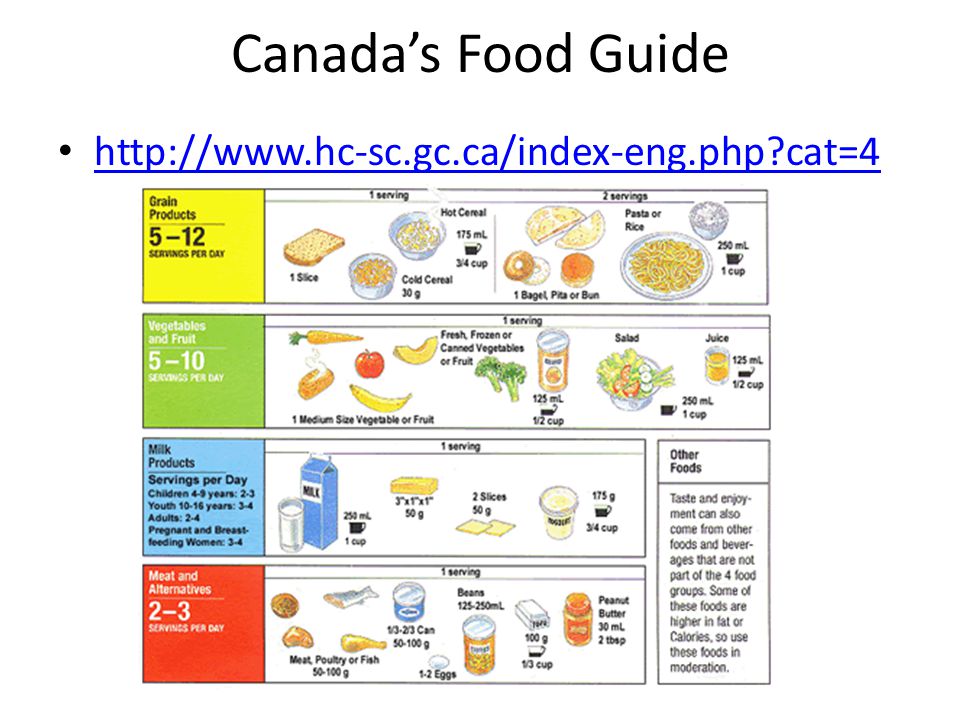 Canada’s Food Guide   cat=4
