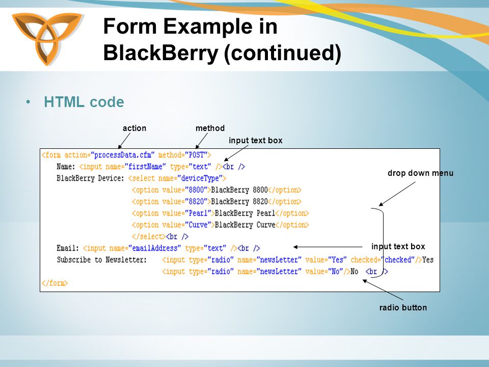 Form Example in BlackBerry (continued) HTML code actionmethod input text box drop down menu input text box radio button