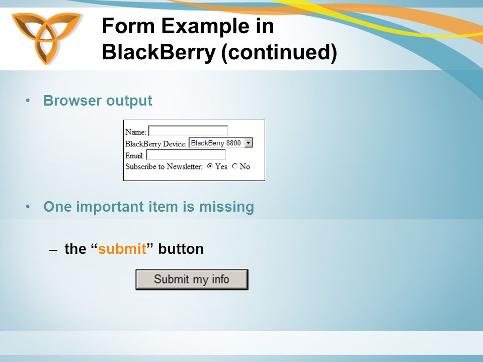 Form Example in BlackBerry (continued) Browser output One important item is missing –the submit button
