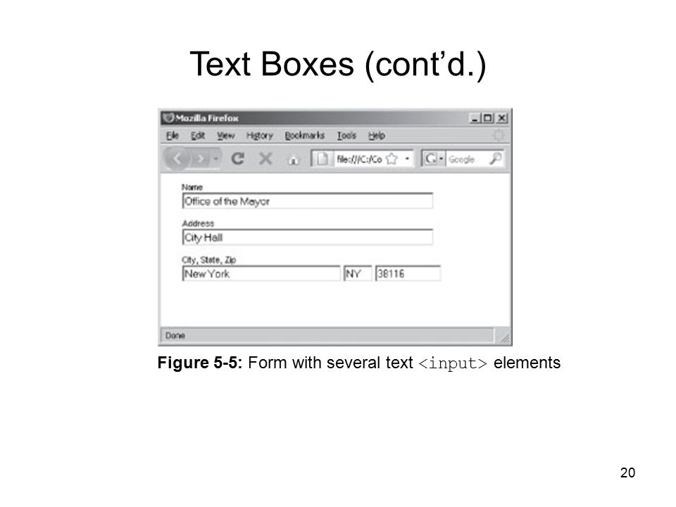 20 Figure 5-5: Form with several text elements Text Boxes (cont’d.)
