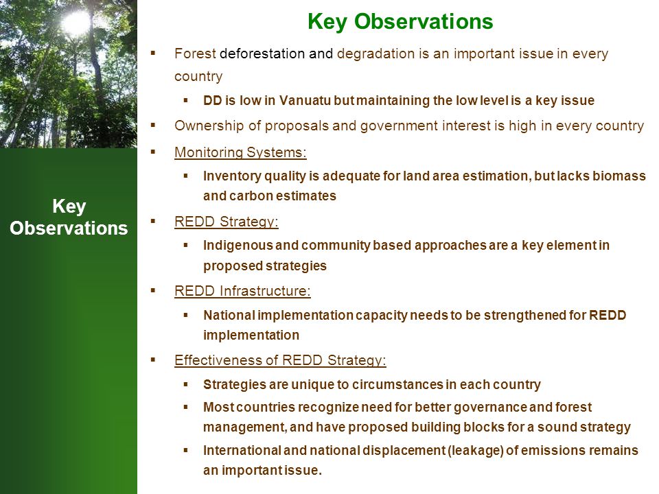 Key Observations  Forest deforestation and degradation is an important issue in every country  DD is low in Vanuatu but maintaining the low level is a key issue  Ownership of proposals and government interest is high in every country  Monitoring Systems:  Inventory quality is adequate for land area estimation, but lacks biomass and carbon estimates  REDD Strategy:  Indigenous and community based approaches are a key element in proposed strategies  REDD Infrastructure:  National implementation capacity needs to be strengthened for REDD implementation  Effectiveness of REDD Strategy:  Strategies are unique to circumstances in each country  Most countries recognize need for better governance and forest management, and have proposed building blocks for a sound strategy  International and national displacement (leakage) of emissions remains an important issue.