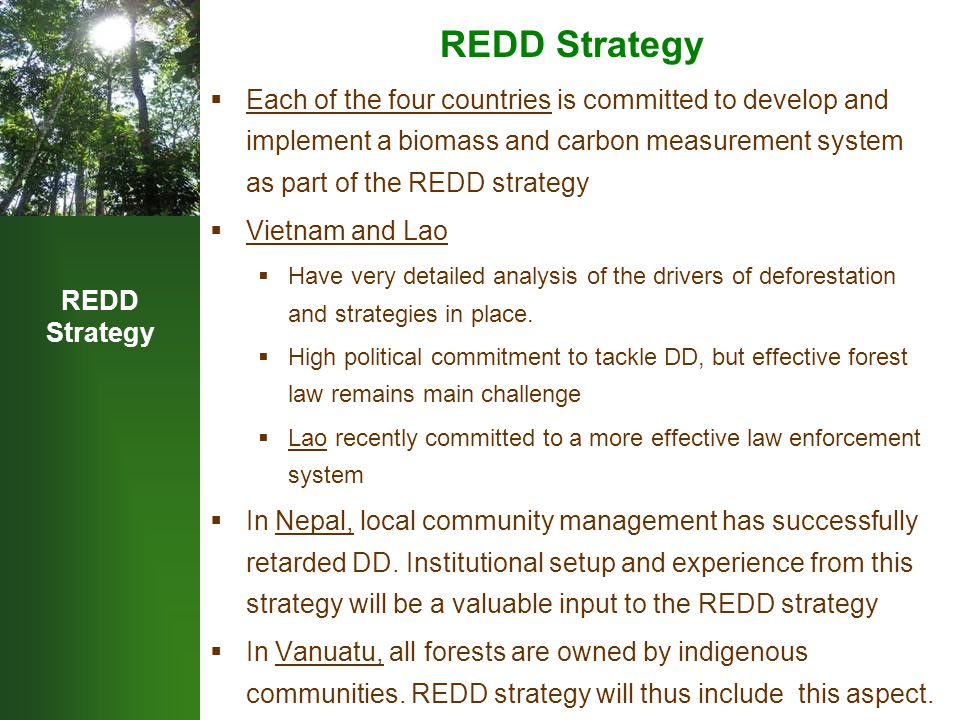 REDD Strategy  Each of the four countries is committed to develop and implement a biomass and carbon measurement system as part of the REDD strategy  Vietnam and Lao  Have very detailed analysis of the drivers of deforestation and strategies in place.