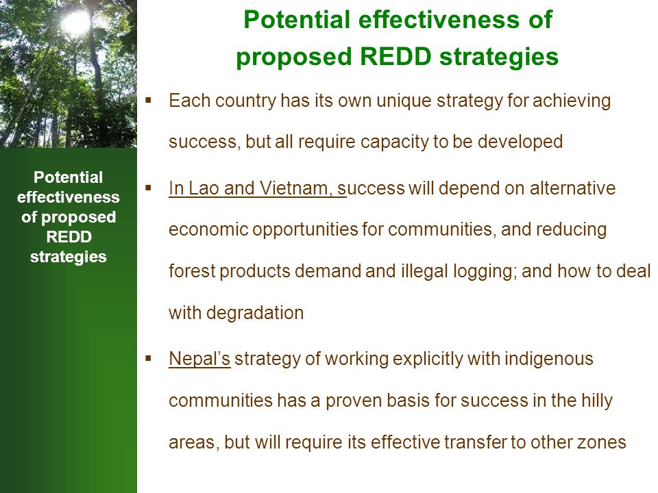Potential effectiveness of proposed REDD strategies Potential effectiveness of proposed REDD strategies  Each country has its own unique strategy for achieving success, but all require capacity to be developed  In Lao and Vietnam, success will depend on alternative economic opportunities for communities, and reducing forest products demand and illegal logging; and how to deal with degradation  Nepal’s strategy of working explicitly with indigenous communities has a proven basis for success in the hilly areas, but will require its effective transfer to other zones