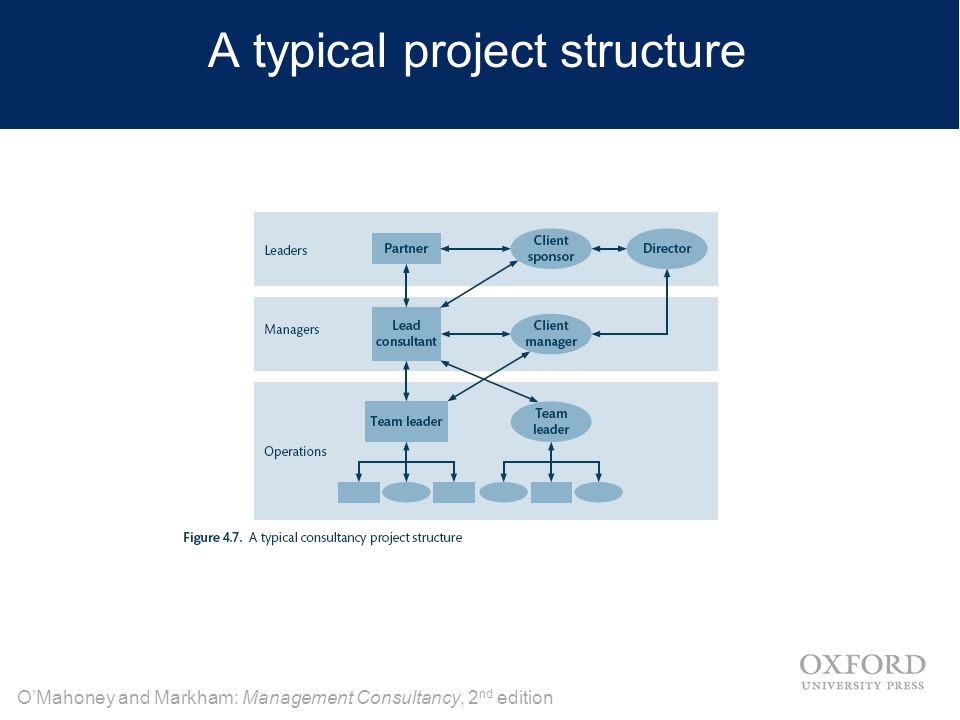 O’Mahoney and Markham: Management Consultancy, 2 nd edition A typical project structure