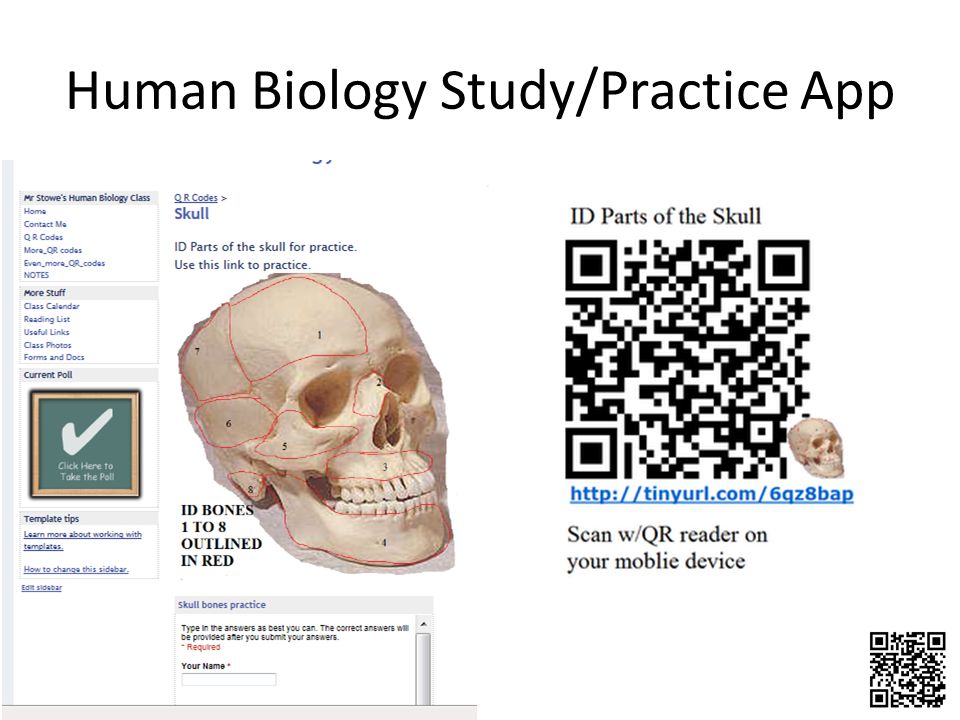 Human Biology Study/Practice App