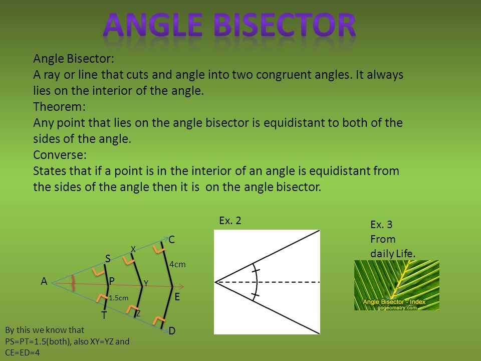Everyday Life Same Side Interior Angles In Real Life