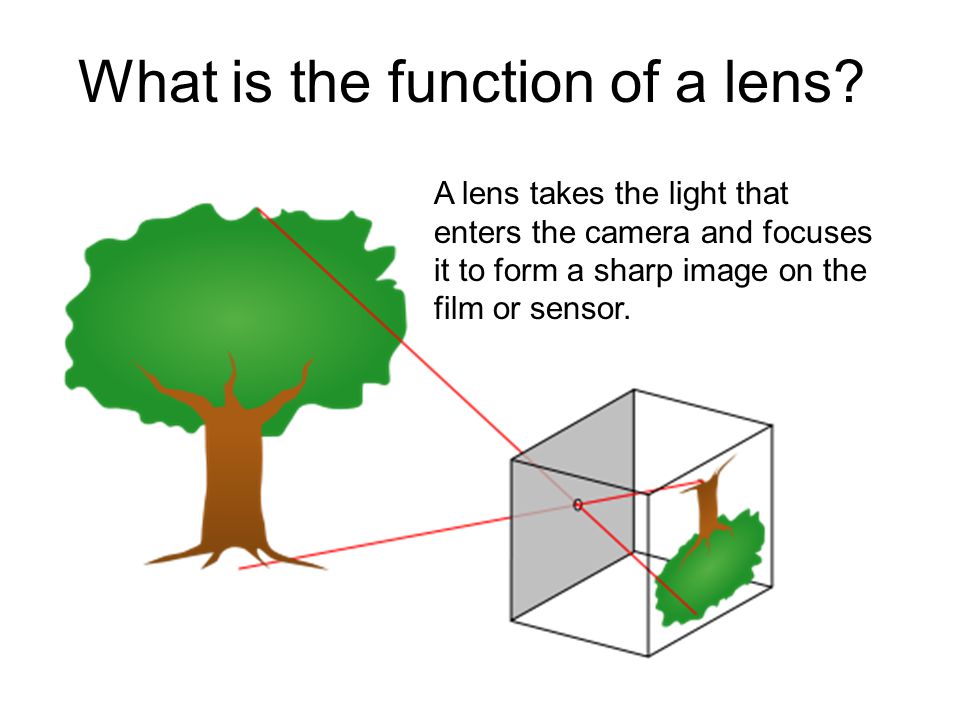 What is the function of a lens.
