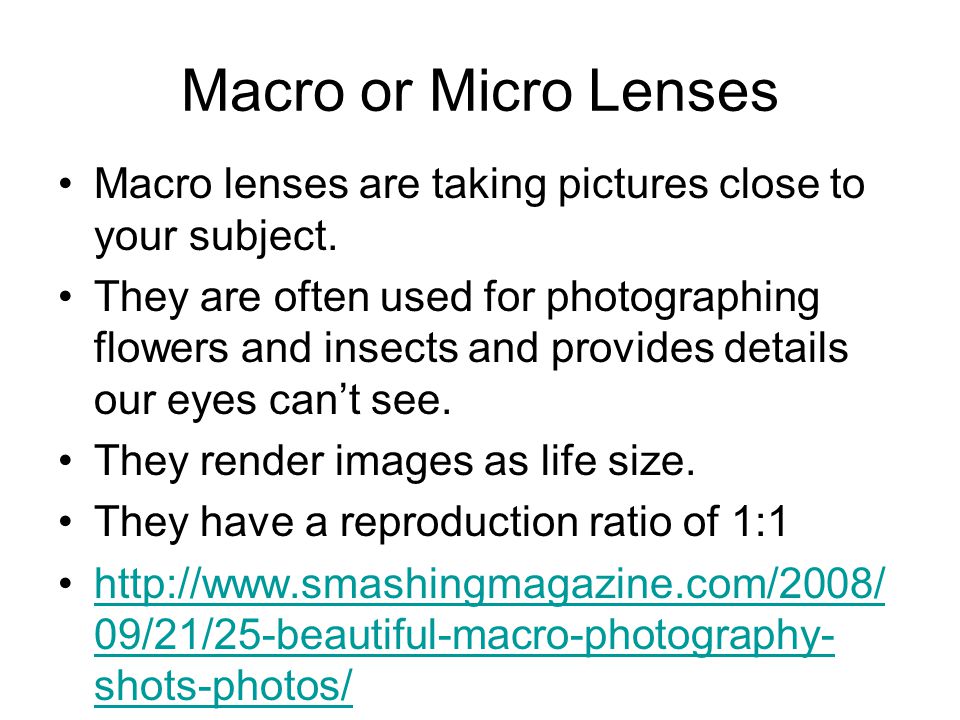 Macro or Micro Lenses Macro lenses are taking pictures close to your subject.