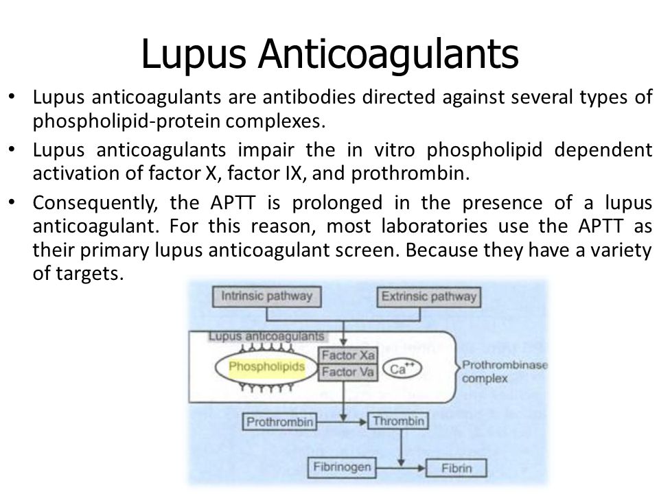 Lupus anticoagulant