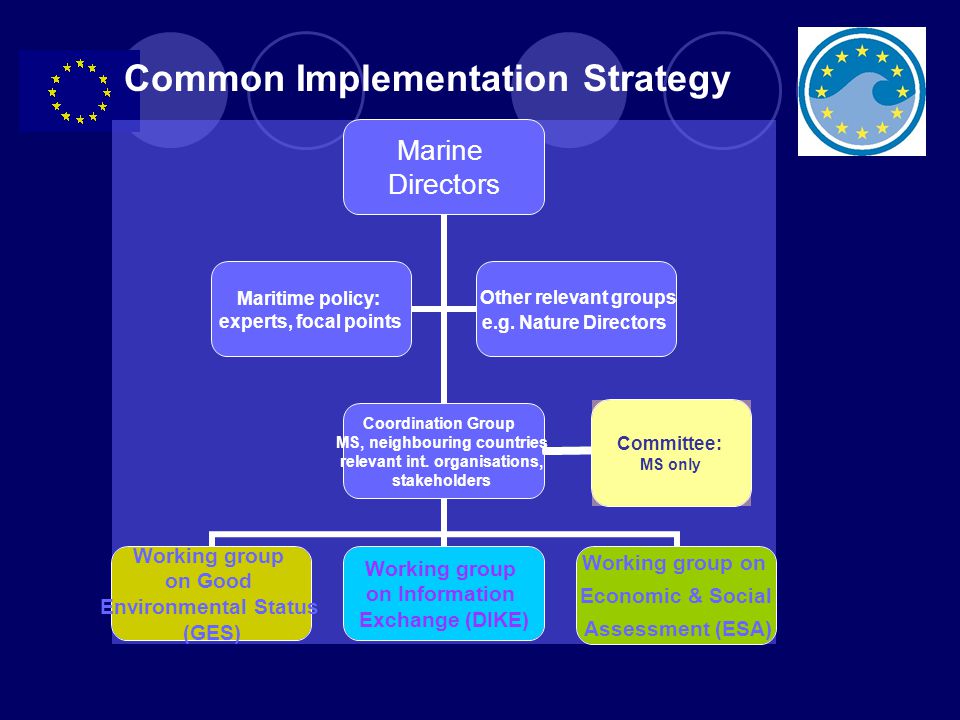 Committee: MS only Common Implementation Strategy
