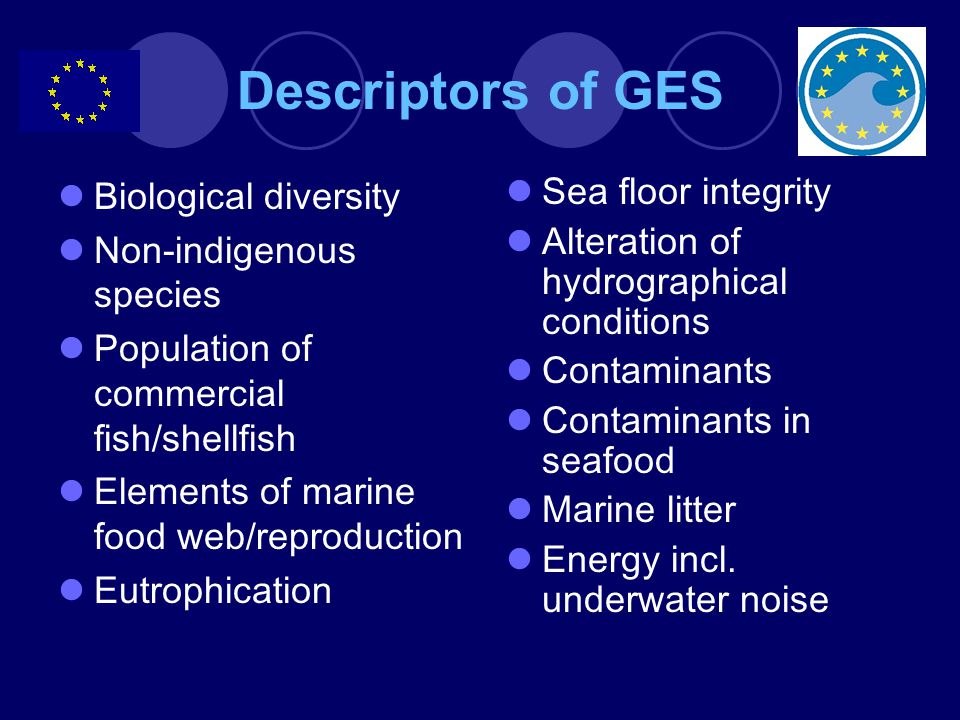 Descriptors of GES Biological diversity Non-indigenous species Population of commercial fish/shellfish Elements of marine food web/reproduction Eutrophication Sea floor integrity Alteration of hydrographical conditions Contaminants Contaminants in seafood Marine litter Energy incl.