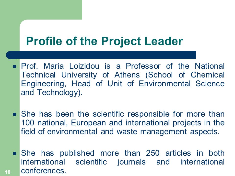 16 Profile of the Project Leader Prof.