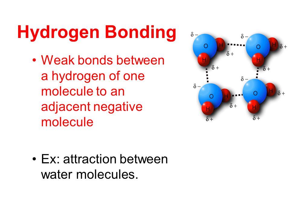 Hydrogen Bonding Weak bonds between a hydrogen of one molecule to an adjacent negative molecule Ex: attraction between water molecules.