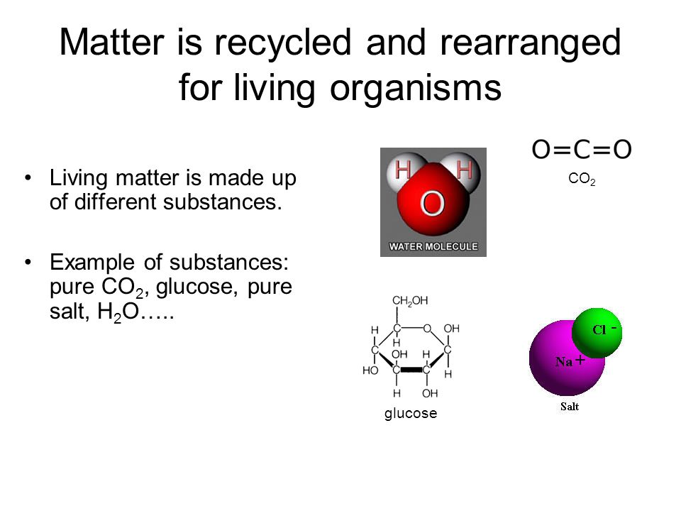 Matter is recycled and rearranged for living organisms Living matter is made up of different substances.