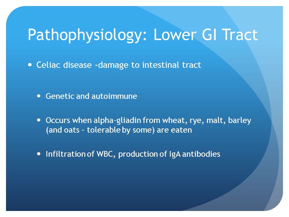 Pathophysiology: Lower GI Tract Celiac disease -damage to intestinal tract Genetic and autoimmune Occurs when alpha-gliadin from wheat, rye, malt, barley (and oats – tolerable by some) are eaten Infiltration of WBC, production of IgA antibodies