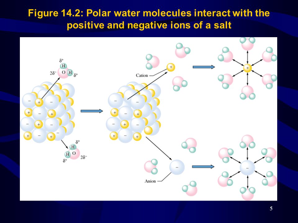 5 Figure 14.2: Polar water molecules interact with the positive and negative ions of a salt