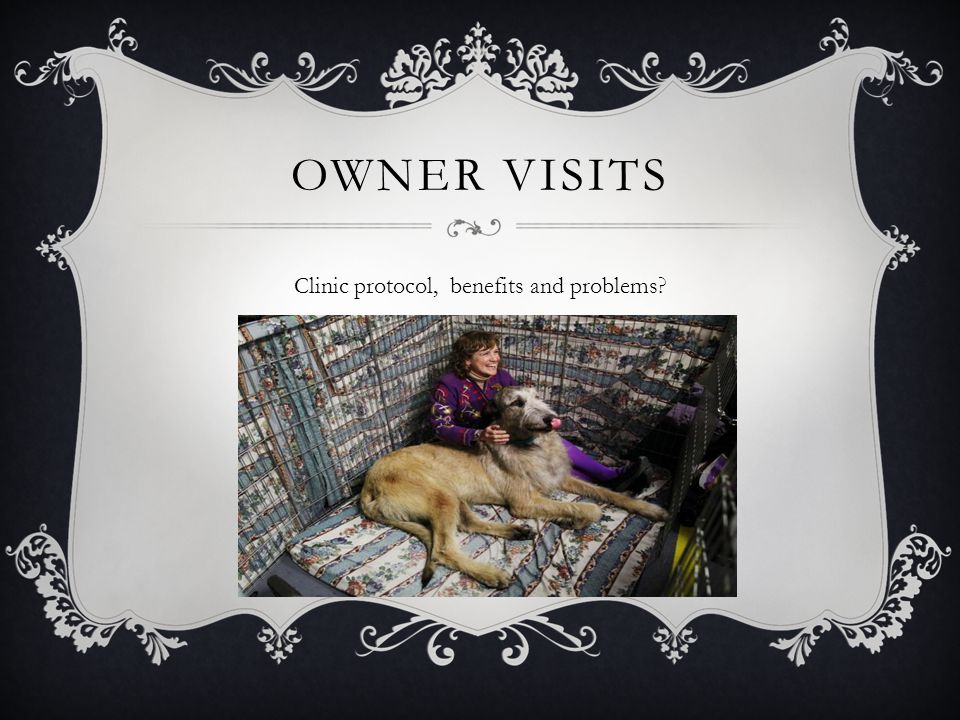 OWNER VISITS Clinic protocol, benefits and problems