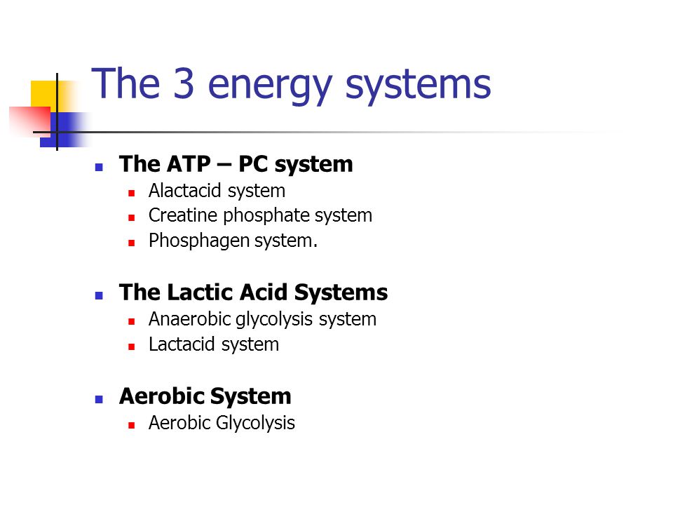 The 3 energy systems The ATP – PC system Alactacid system Creatine phosphate system Phosphagen system.