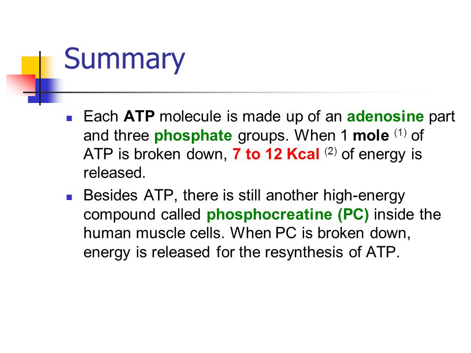 Summary Each ATP molecule is made up of an adenosine part and three phosphate groups.