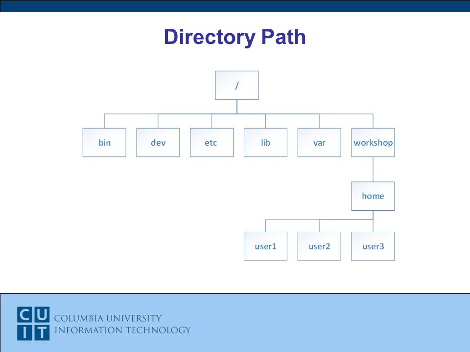 Directory Path