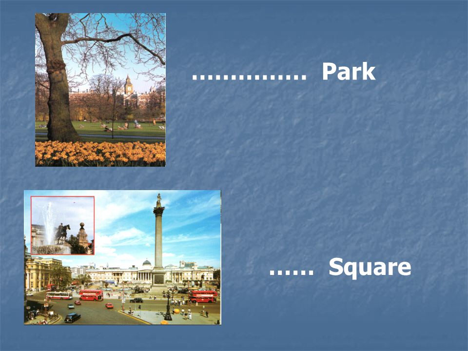 …………… Park …… Square