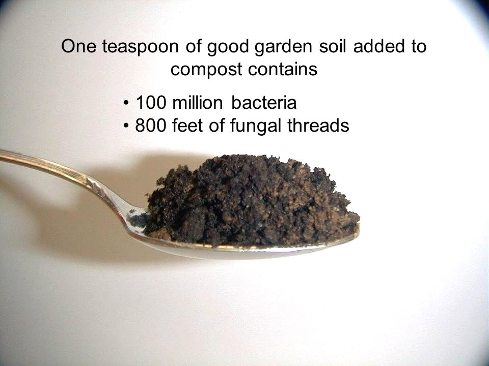 One teaspoon of good garden soil added to compost contains 100 million bacteria 800 feet of fungal threads