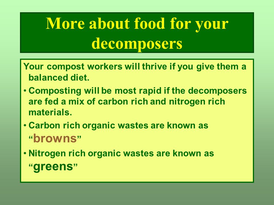 More about food for your decomposers Your compost workers will thrive if you give them a balanced diet.