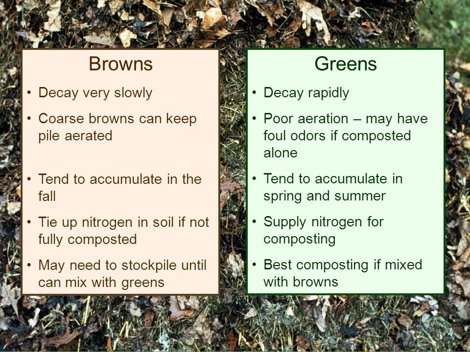 Browns Decay very slowly Coarse browns can keep pile aerated Tend to accumulate in the fall Tie up nitrogen in soil if not fully composted May need to stockpile until can mix with greens Greens Decay rapidly Poor aeration – may have foul odors if composted alone Tend to accumulate in spring and summer Supply nitrogen for composting Best composting if mixed with browns