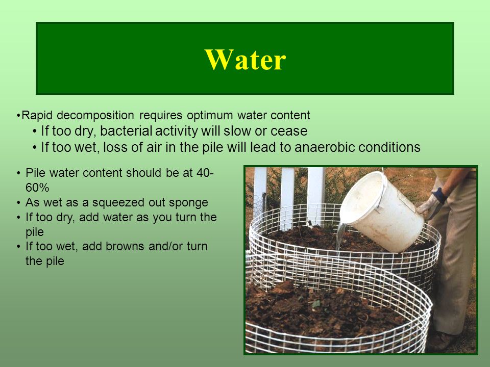 Water Pile water content should be at % As wet as a squeezed out sponge If too dry, add water as you turn the pile If too wet, add browns and/or turn the pile Rapid decomposition requires optimum water content If too dry, bacterial activity will slow or cease If too wet, loss of air in the pile will lead to anaerobic conditions