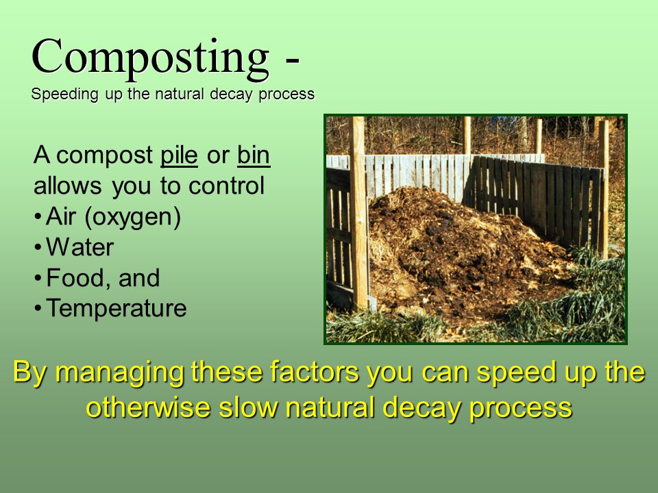 Composting - Speeding up the natural decay process Composting - Speeding up the natural decay process A compost pile or bin allows you to control Air (oxygen) Water Food, and Temperature By managing these factors you can speed up the otherwise slow natural decay process