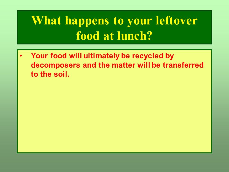 What happens to your leftover food at lunch.