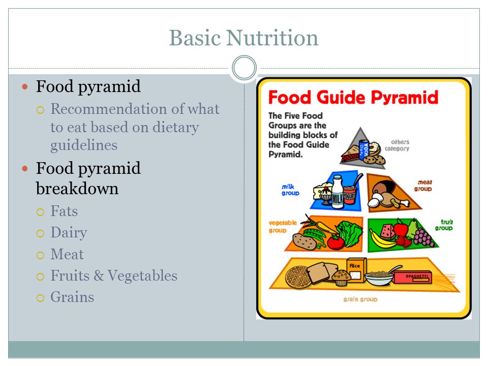 Basic Nutrition Food pyramid  Recommendation of what to eat based on dietary guidelines Food pyramid breakdown  Fats  Dairy  Meat  Fruits & Vegetables  Grains