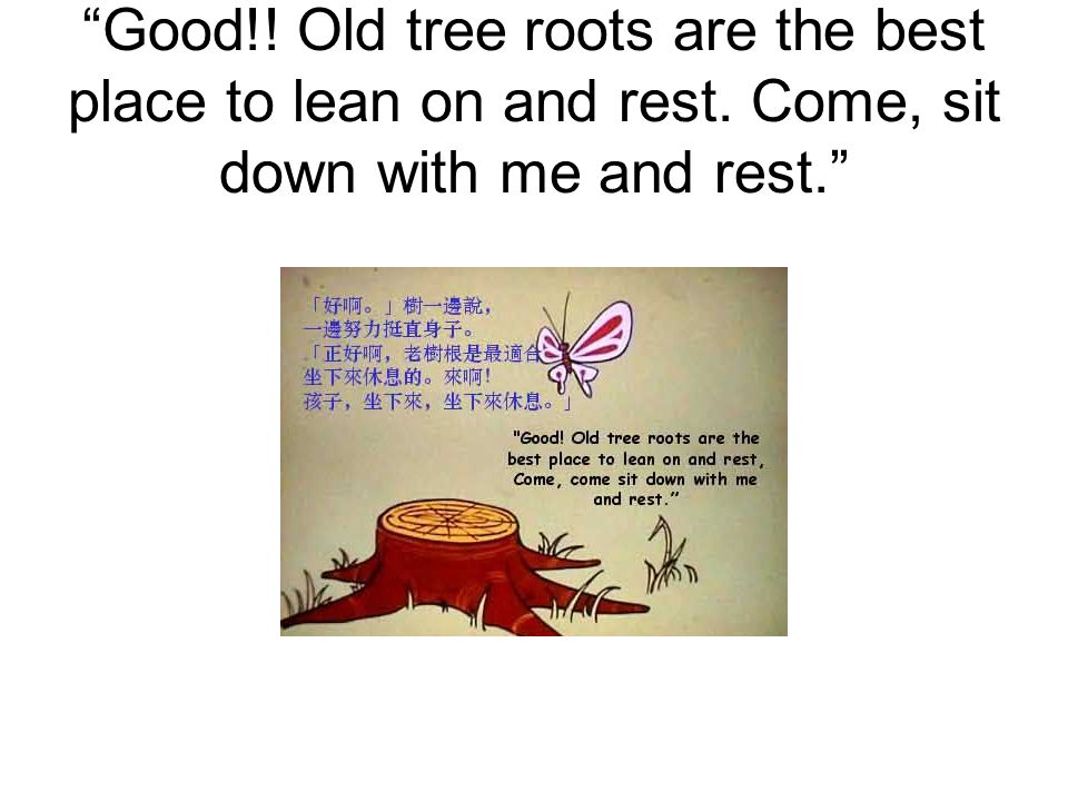 Good!! Old tree roots are the best place to lean on and rest. Come, sit down with me and rest.