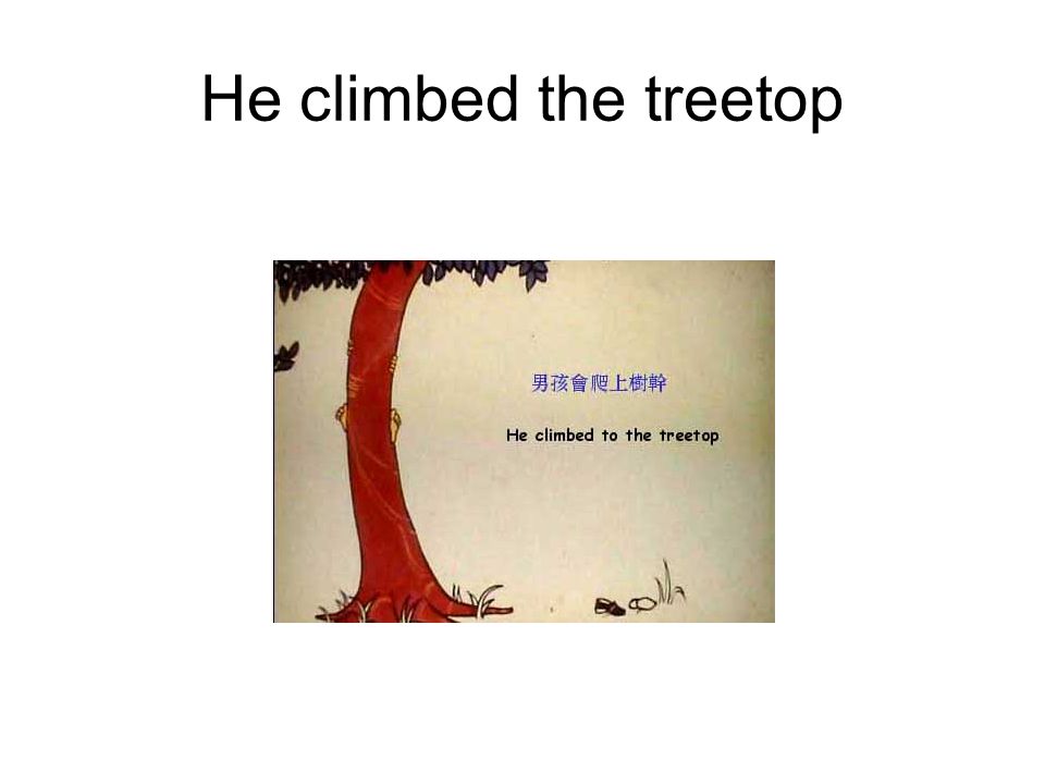 He climbed the treetop