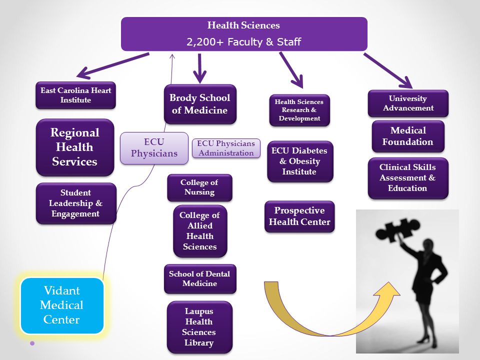 Vidant Health Organizational Chart