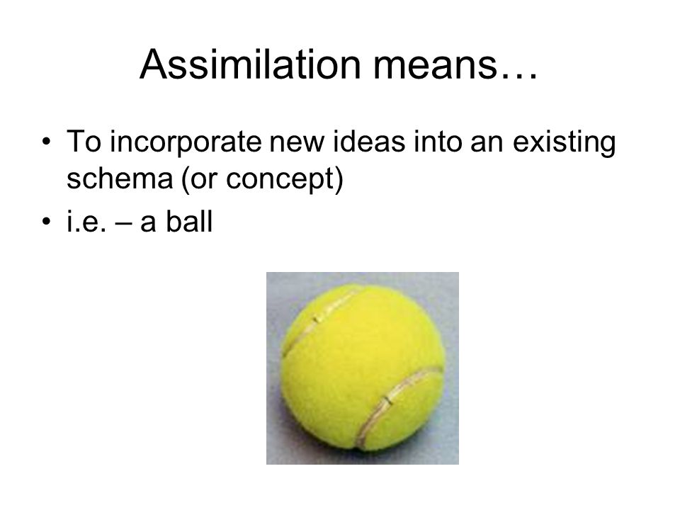 Assimilation means… To incorporate new ideas into an existing schema (or concept) i.e. – a ball