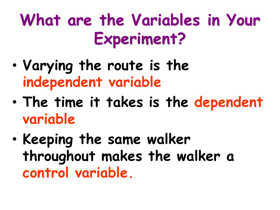 What are the Variables in Your Experiment.