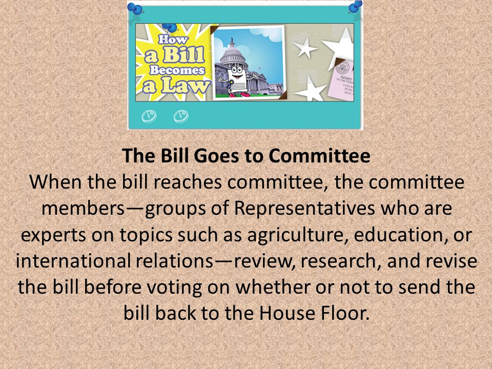 The Bill Goes to Committee When the bill reaches committee, the committee members—groups of Representatives who are experts on topics such as agriculture, education, or international relations—review, research, and revise the bill before voting on whether or not to send the bill back to the House Floor.